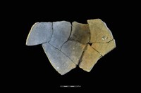 陶片藏品圖，第2張